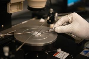 Semiconductors
